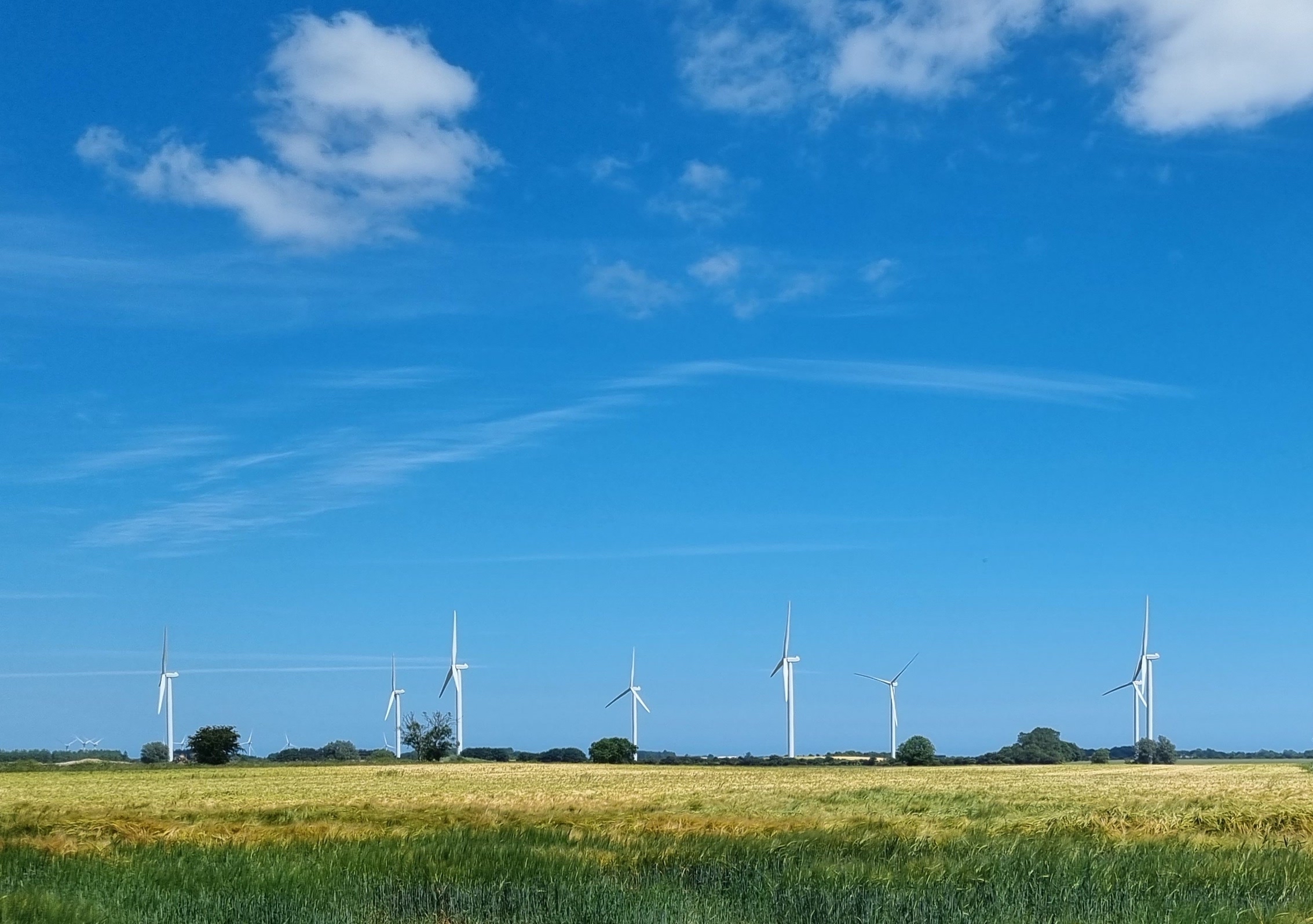 Photo of site fields and existing wind turbines